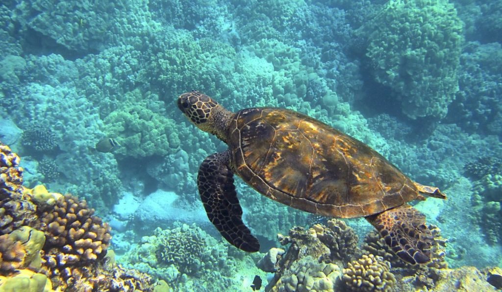 Places-To-Travel-In-October-8