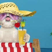 Top 10+ Best Beaches in the World (2)