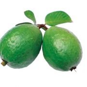 Health Benefits of Guava Leaves