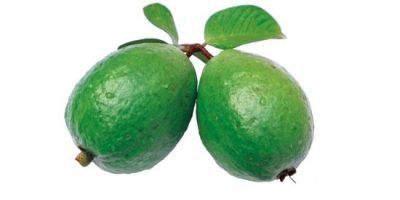 Health Benefits of Guava Leaves