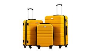 Best Designer Luggage