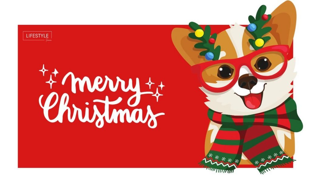 Best Stocking Stuffer Ideas For Christmas