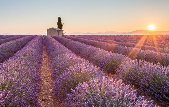 Provence