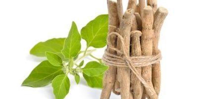 ashwagandha negative side effects