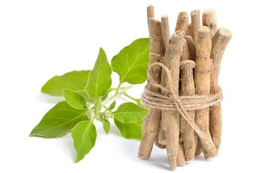 ashwagandha negative side effects