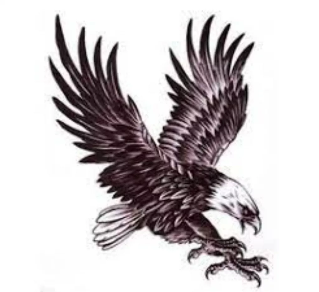 Eagle Tattoos for Women