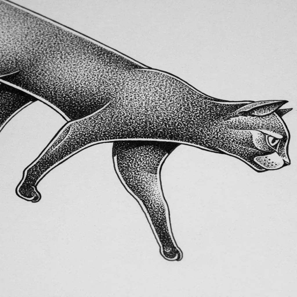 Cat Tattoo With Belly Button