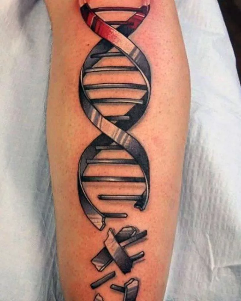 DNA Strand